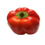 Red-Capsicum