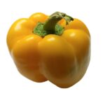 Yellow-Capsicum